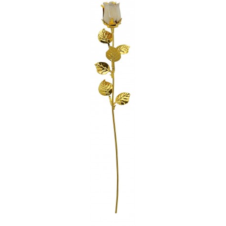 ROSA CM.30 DORATA-BIANCA