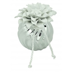 VASETTO PICCOLO CON ANEMONE BIANCA