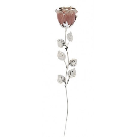 ROSA CM 33 - ROSA SCARLATTA