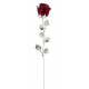 ROSA CM 33 - BORDEAUX