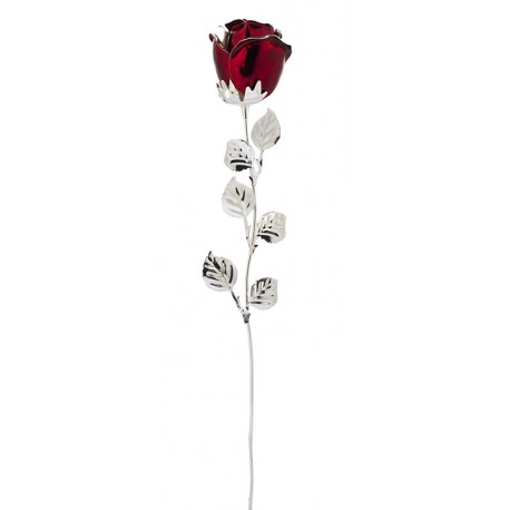 ROSA CM 33 - BORDEAUX