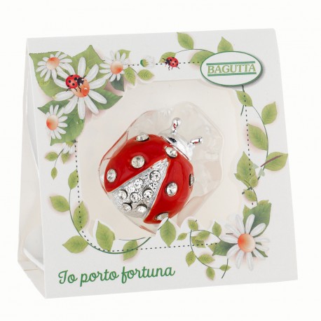 COCCINELLA
