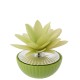 1/2 SFERA D. 9 BICOLORE VERDE
