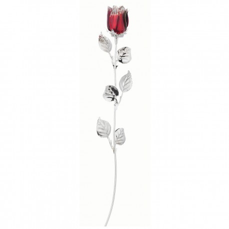 10X ROSE CM 30 - BORDEAUX SCARLATTA