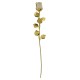 10X ROSE CM 30 - DORATA BIANCA