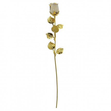 10X ROSE CM 30 - DORATA BIANCA