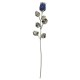 10X ROSE CM 30 - BLU SCARLATTA