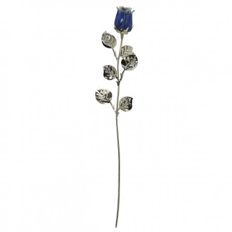 10X ROSE CM 30 - BLU SCARLATTA