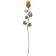 10X ROSE CM 30 - GIALLA SCARLATTA