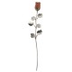 10X ROSE CM 30 - ROSA