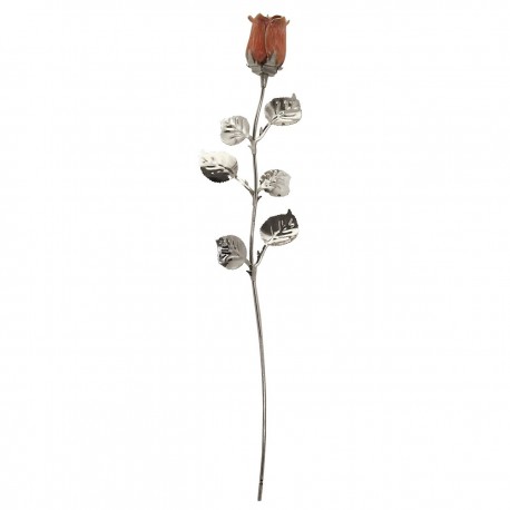 10X ROSE CM 30 - ROSA