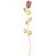 10X ROSE CM 30 - DORATA ROSA