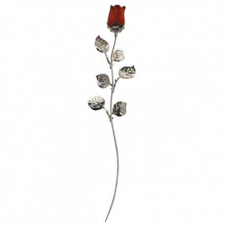 10X ROSE CM 30 - ROSSO