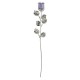 10X ROSE CM 30 - VIOLA