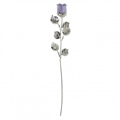 10X ROSE CM 30 - VIOLA