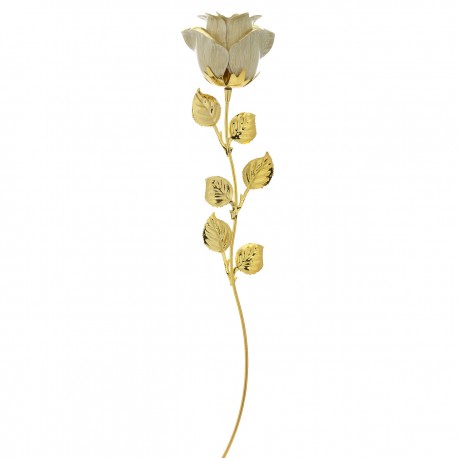 10X ROSE CM 33 - DORATA BIANCA