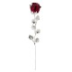 10X ROSE CM 33 - BORDEAUX