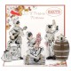 EXPOKIT 1x3 PULCINELLA