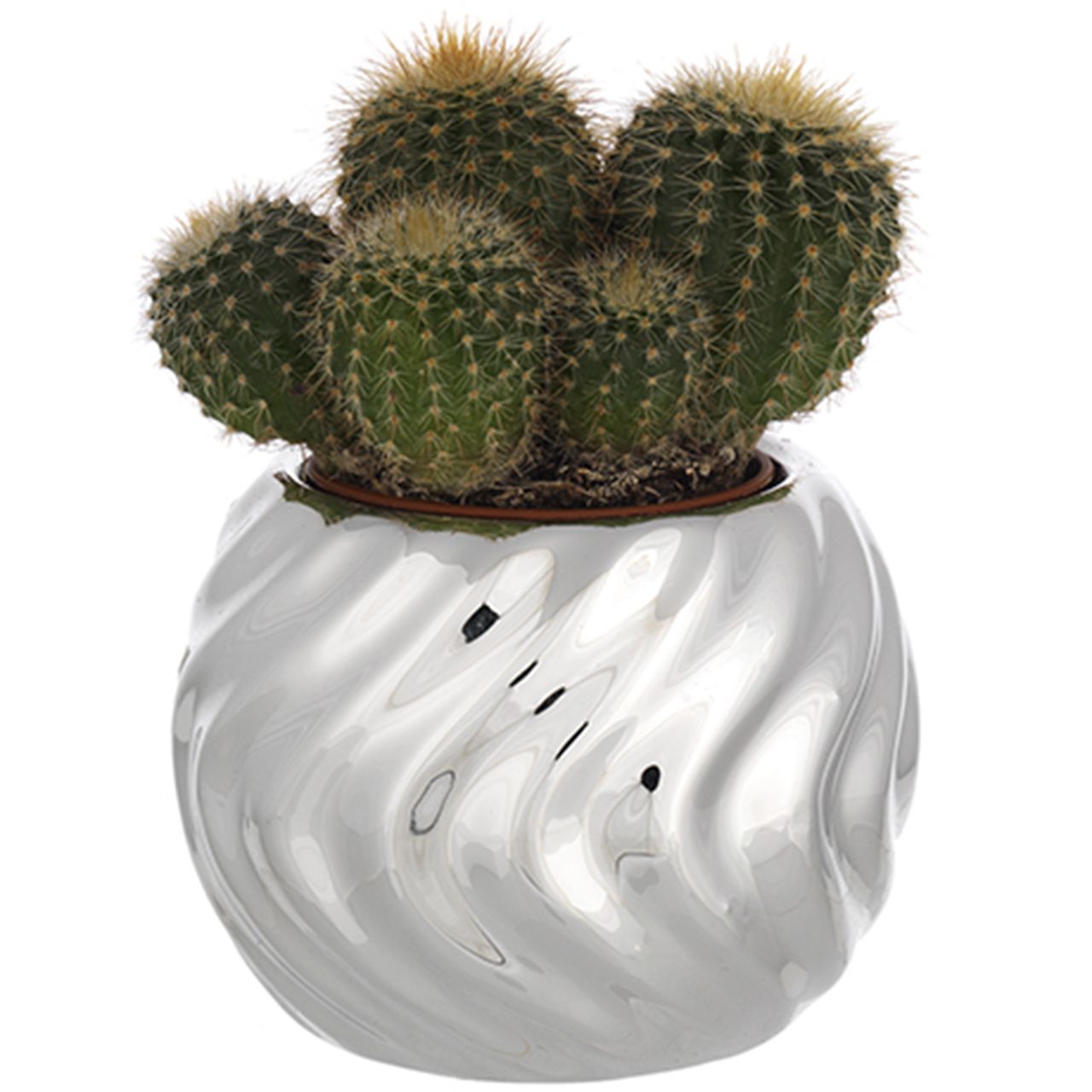 SFERA PORTAVASO