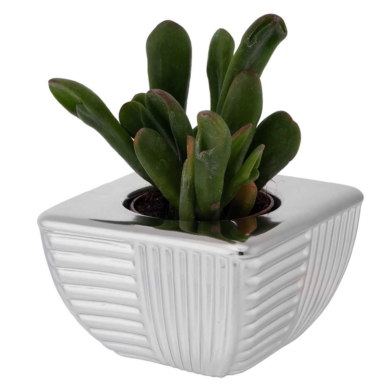PORTAVASO BASE QUADRA 9,5x9,5x6